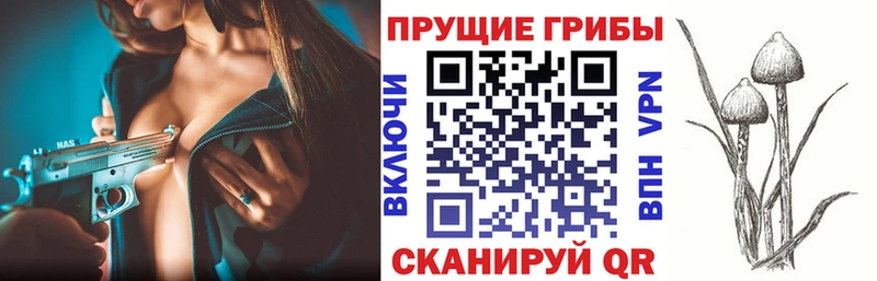 мориарти состав  Великий Устюг  Псилоцибиновые грибы MAGIC MUSHROOMS  купить  цена 