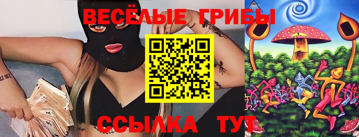 Великий Устюг  Псилоцибиновые грибы Psilocybine cubensis  Вход с VPN  Галлюциногенные грибы GOLDEN TEACHER 