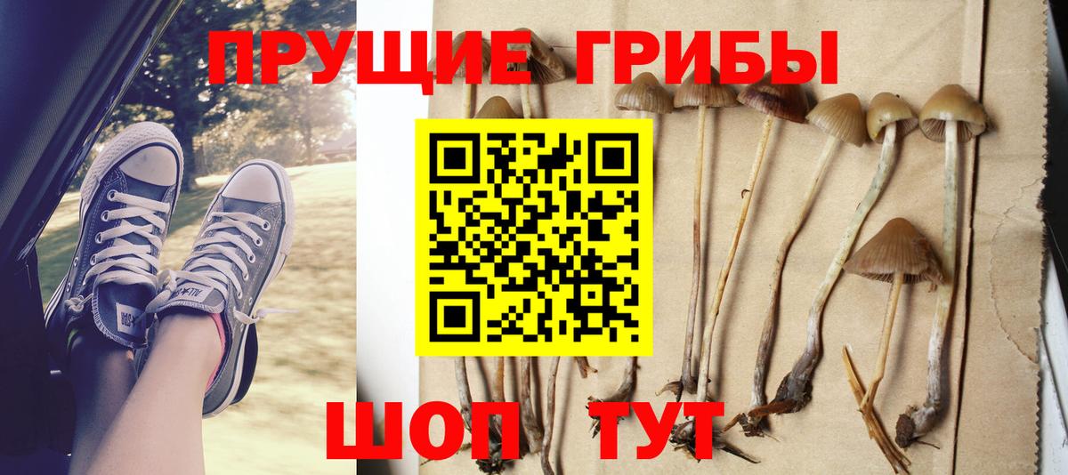 Псилоцибиновые грибы Magic Shrooms Великий Устюг