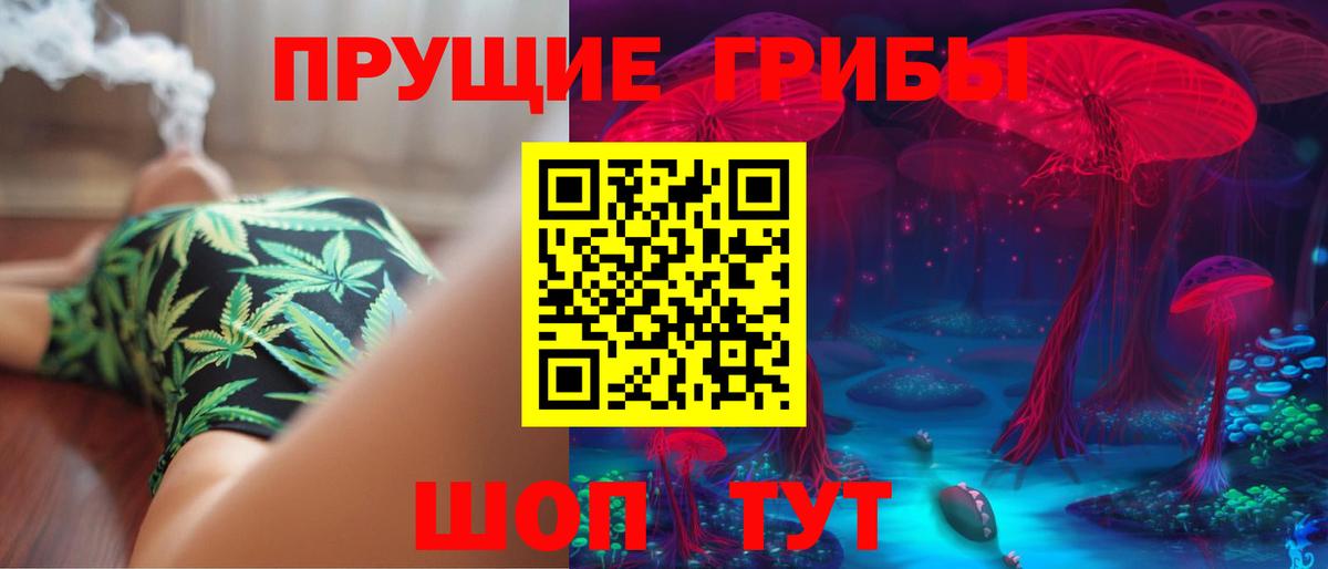 Галлюциногенные грибы Cubensis Великий Устюг