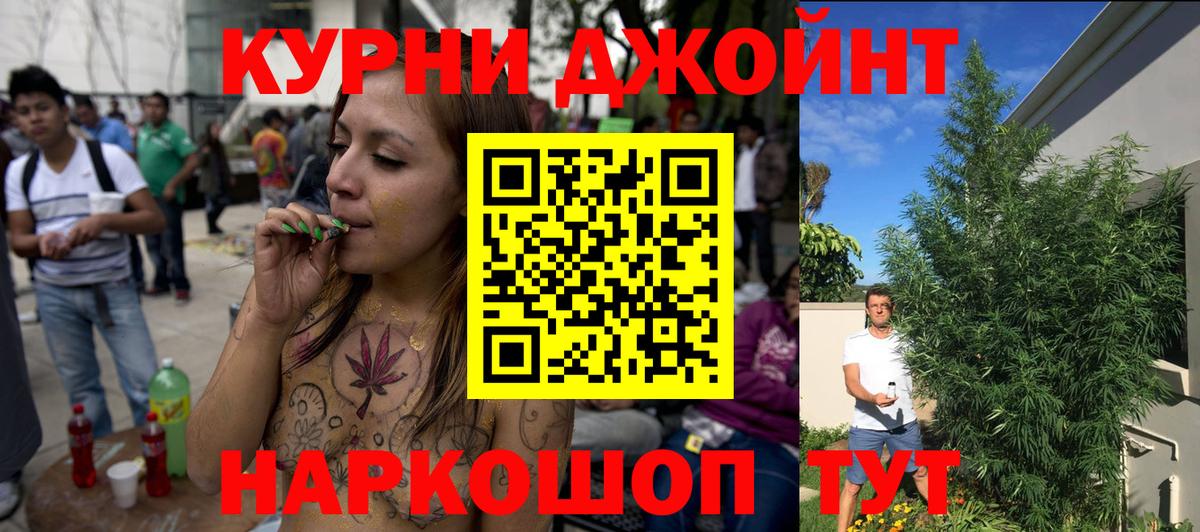 Шишки марихуана семена  Вход с VPN  Марихуана Amnesia  Шишки марихуана SATIVA & INDICA  Великий Устюг 